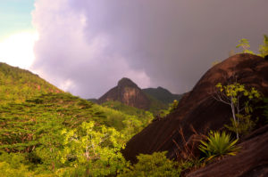 Mahe Anse Major Trail View