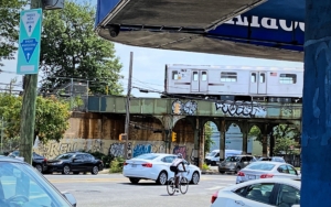 Biking in the Bronx