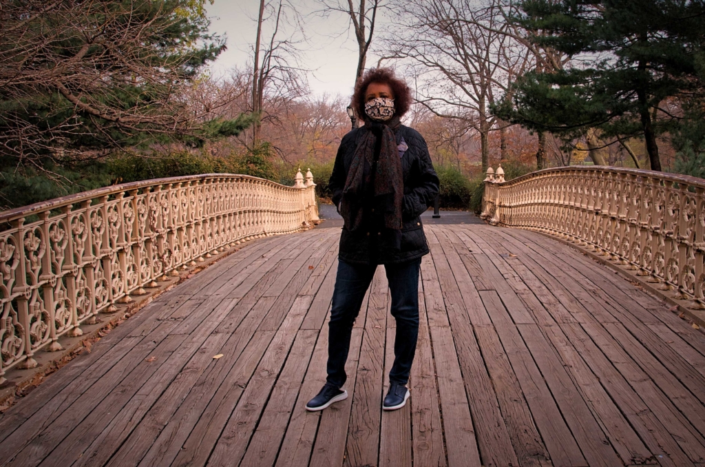 Pine Bank Arch in Central Park