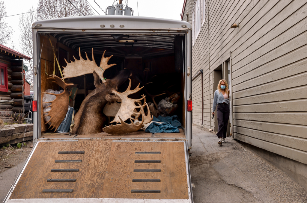 Jackson WY Antlers & Animal Skins