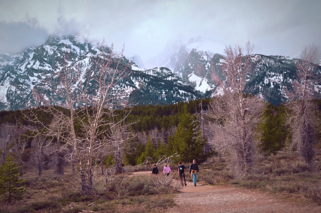 Taggart Lake Trailhead